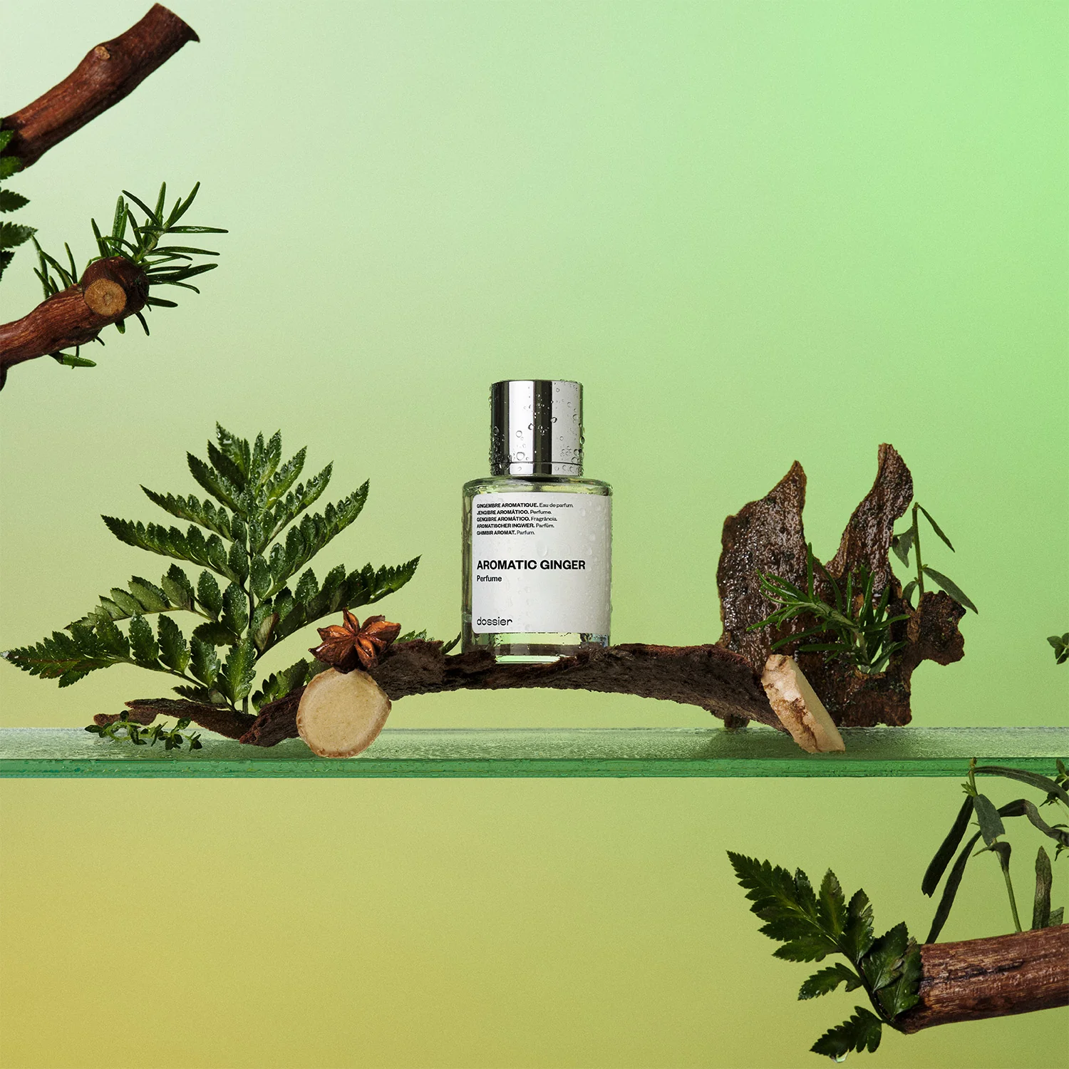 Aromatic Ginger - Image 3