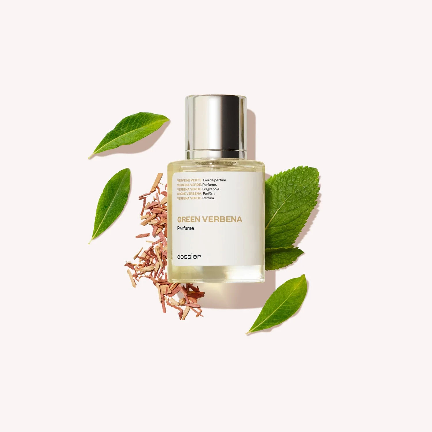 Green Verbena - Image 6