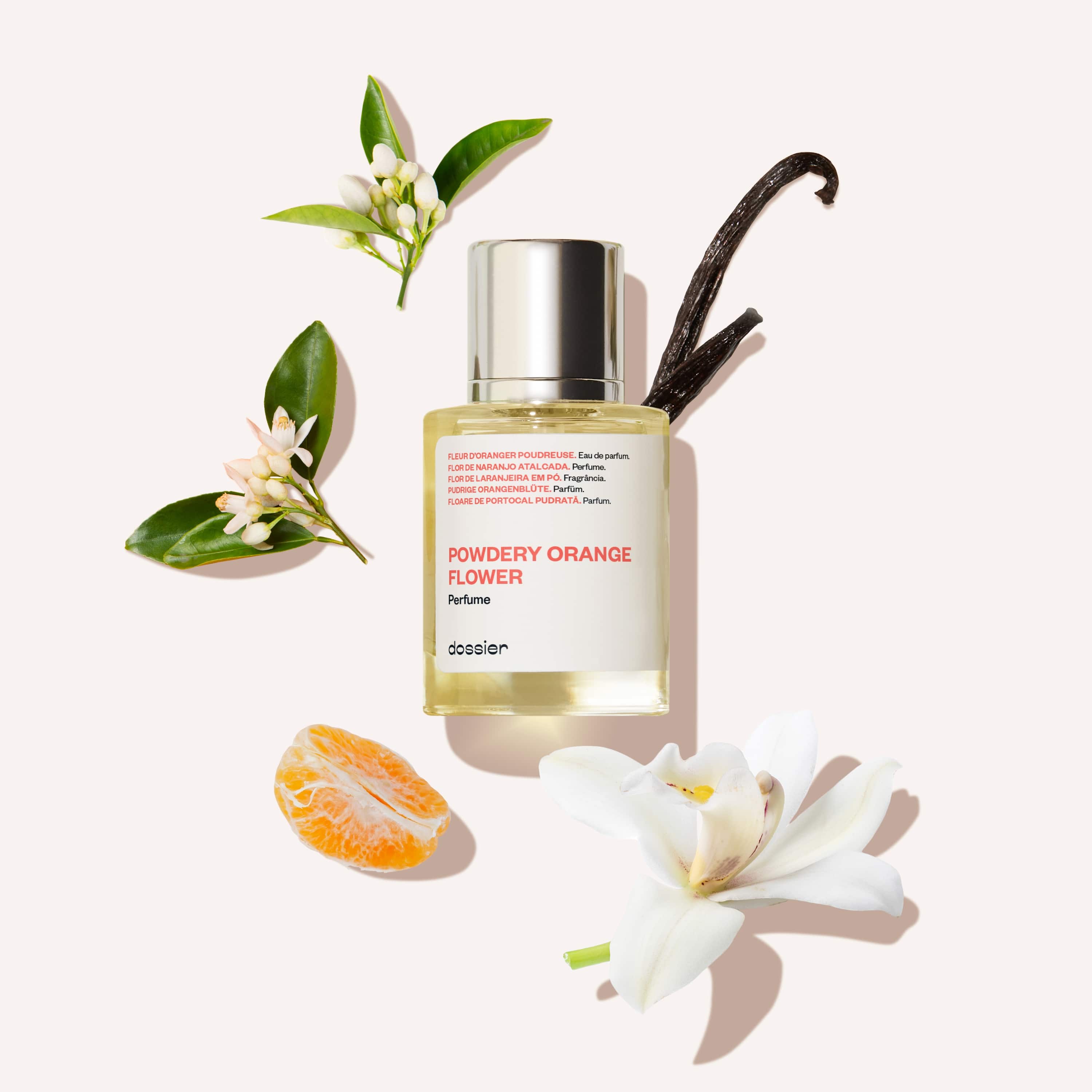 Powdery Orange Flower - Image 6